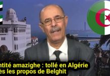 Identité algérienne : le cheval de Troie pour détruire l’Algérie
